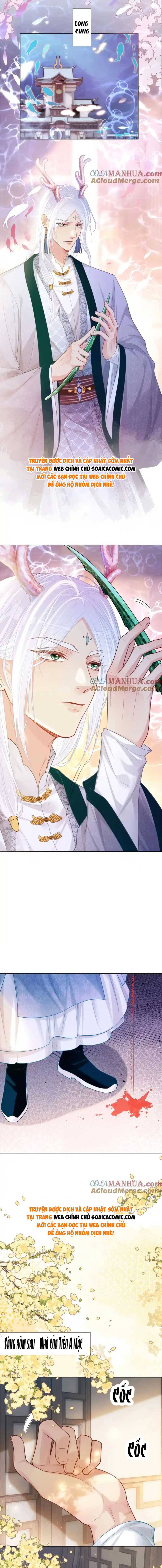 Ninita Yêu Dấu - Phần 2 Chap 1414.9 - Next Chap 1415.9