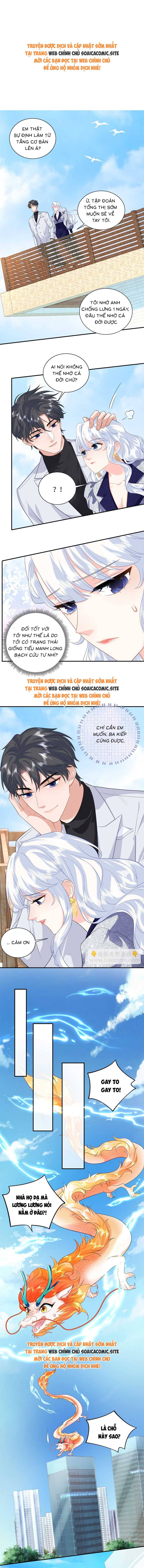 Ninita Yêu Dấu - Phần 2 Chap 1466.4 - Next Chap 1467.4