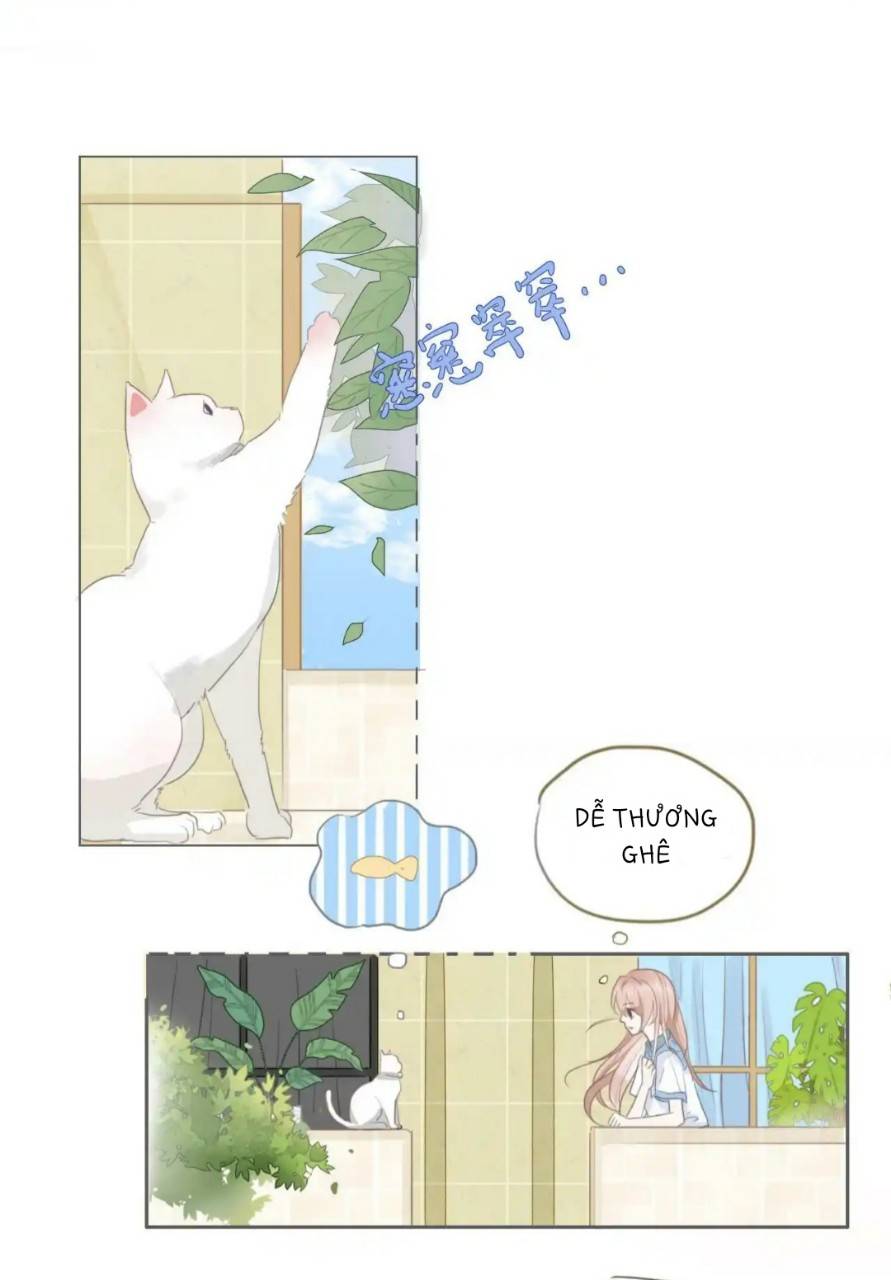 Ninita Yêu Dấu - Phần 2 Chap 1494.4 - Next Chap 1495.4