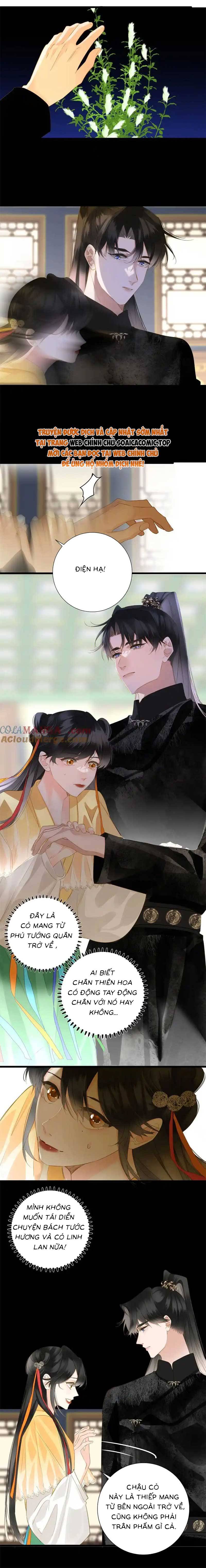 Ninita Yêu Dấu - Phần 2 Chap 1511.5 - Next Chap 1512.5