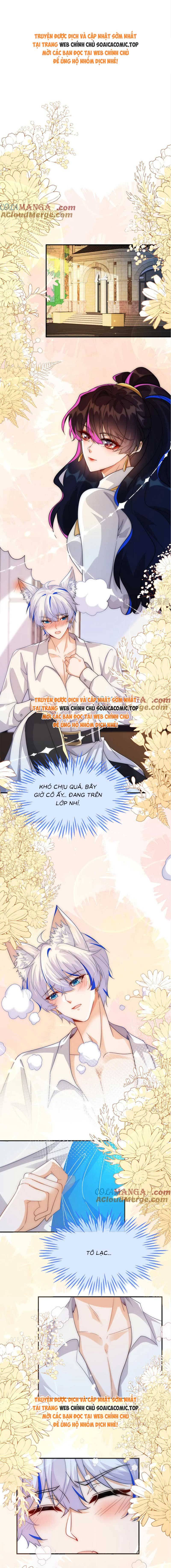 Ninita Yêu Dấu - Phần 2 Chap 1526.8 - Next Chap 1527.8