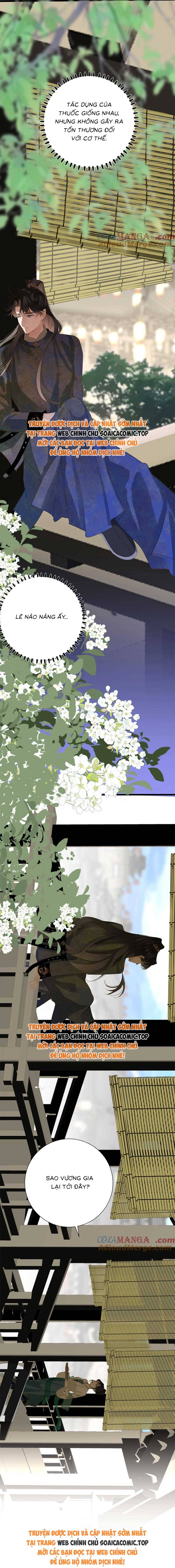 Ninita Yêu Dấu - Phần 2 Chap 1532.2 - Next Chap 1533.2