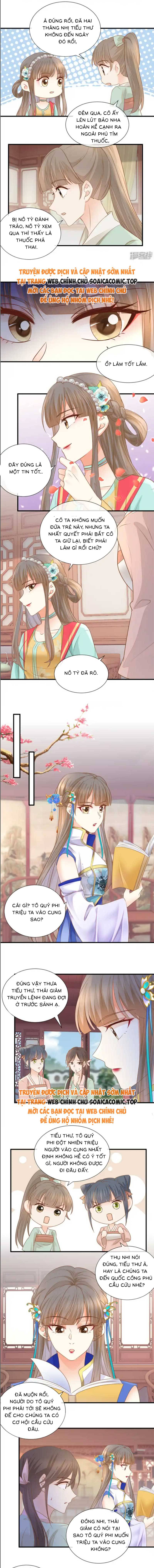 Ninita Yêu Dấu - Phần 2 Chap 1551.4 - Next Chap 1552.4