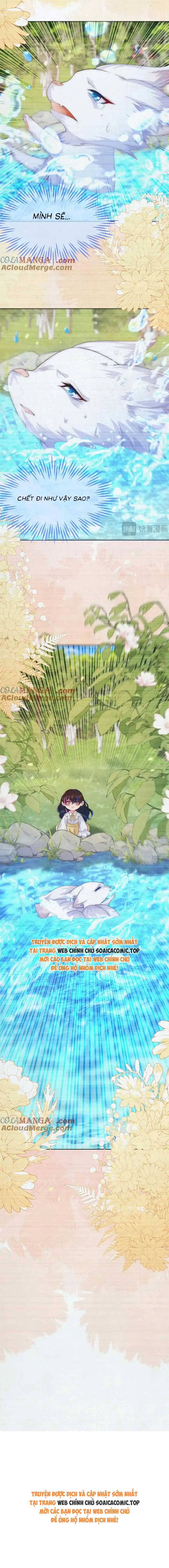 Ninita Yêu Dấu - Phần 2 Chap 1564.9 - Next Chap 1565.9