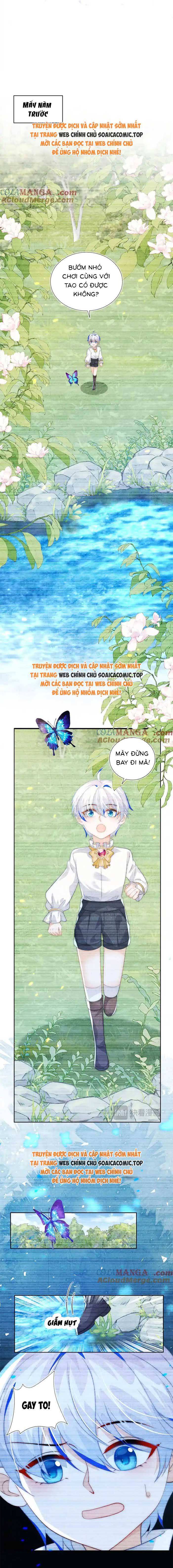 Ninita Yêu Dấu - Phần 2 Chap 1564.9 - Next Chap 1565.9