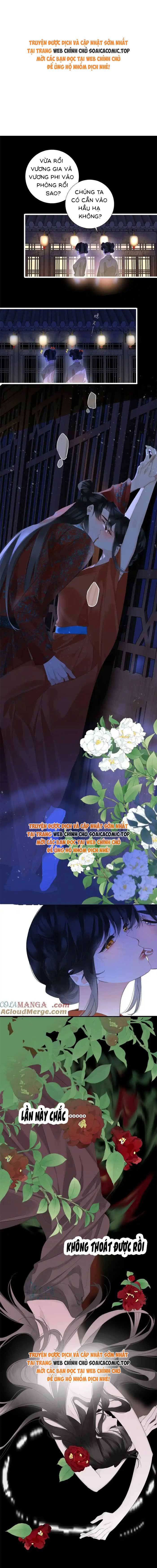 Ninita Yêu Dấu - Phần 2 Chap 1572.1 - Next Chap 1573.1