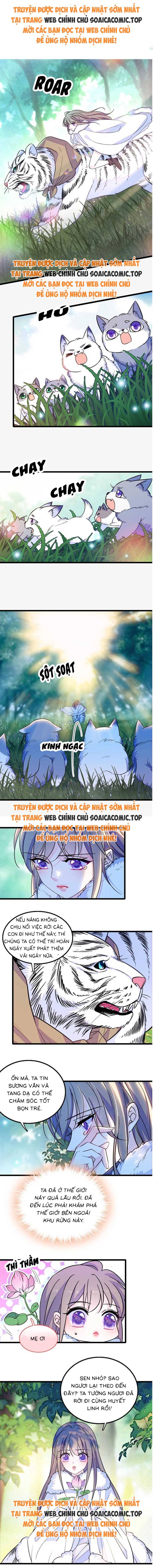 Ninita Yêu Dấu - Phần 2 Chap 1585.9 - Next Chap 1586.9