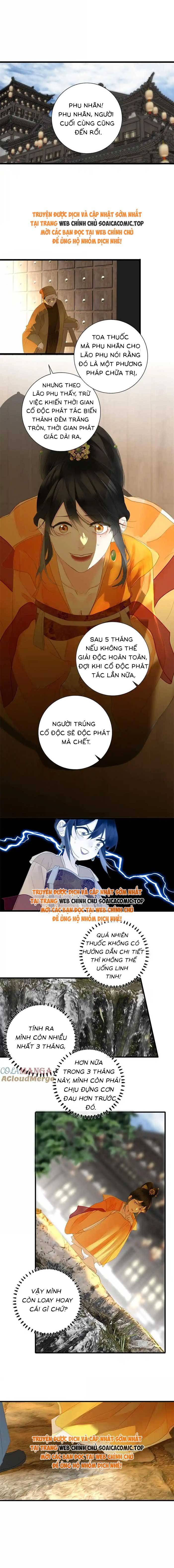 Ninita Yêu Dấu - Phần 2 Chap 1595.8 - Next Chap 1596.8