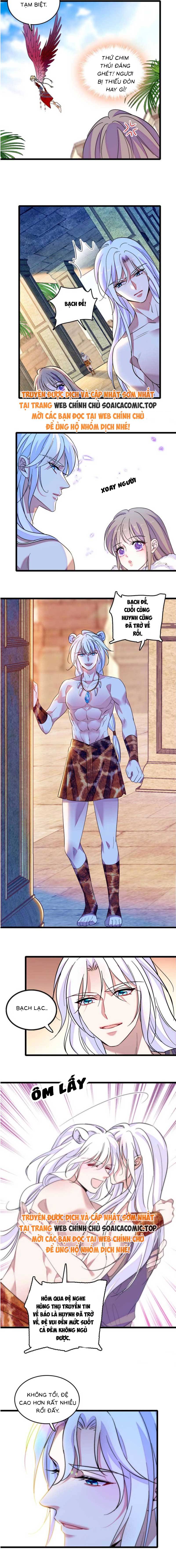 Ninita Yêu Dấu - Phần 2 Chap 1597.5 - Next Chap 1598.5