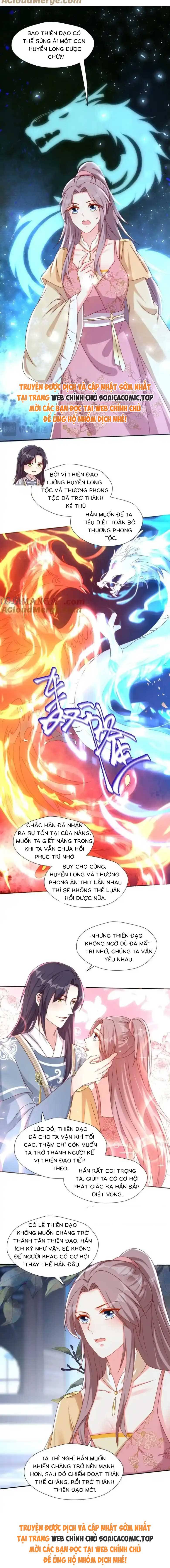 Ninita Yêu Dấu - Phần 2 Chap 1606.9 - Next Chap 1607.9