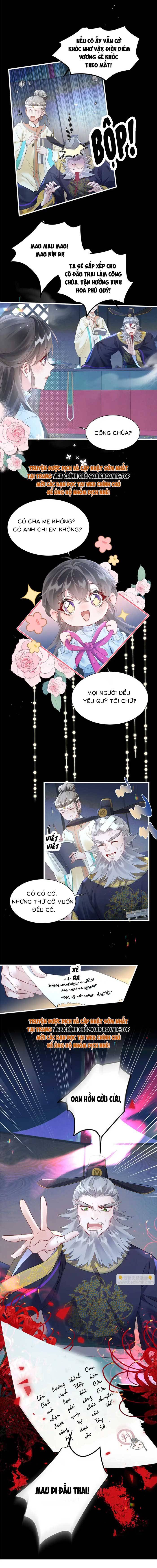 Ninita Yêu Dấu - Phần 2 Chap 1626.5 - Next Chap 1627.5