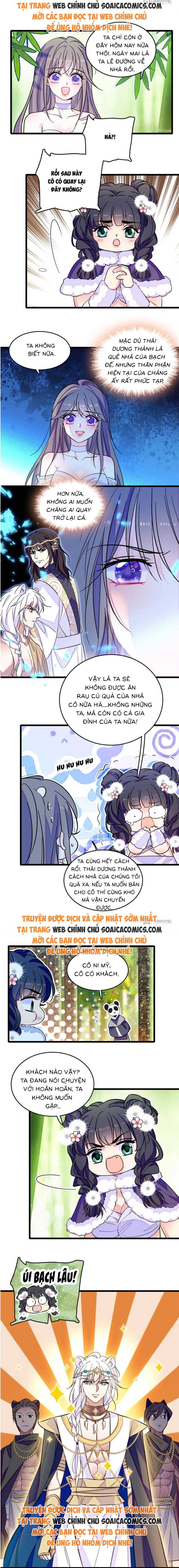 Ninita Yêu Dấu - Phần 2 Chap 1633.4 - Next Chap 1634.4