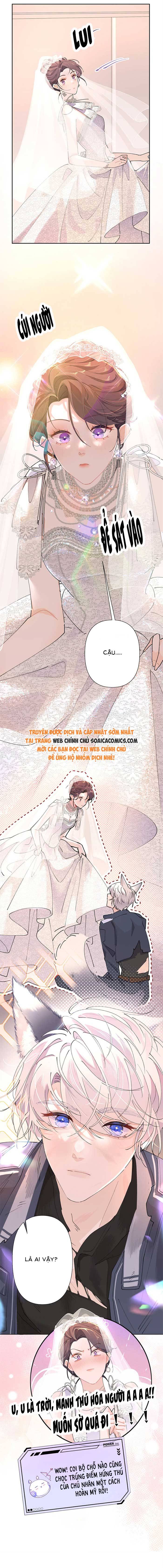 Ninita Yêu Dấu - Phần 2 Chap 1635.9 - Next Chap 1636.9