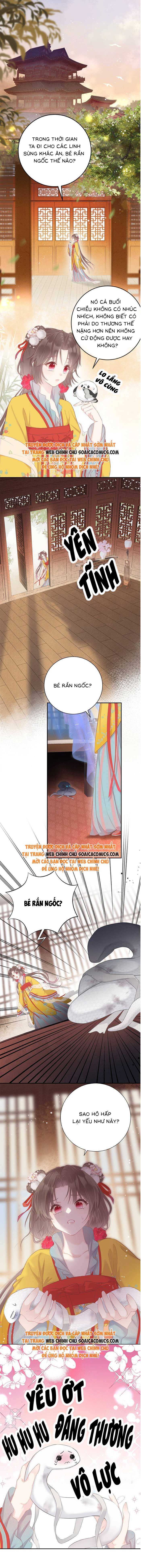 Ninita Yêu Dấu - Phần 2 Chap 1638.5 - Next Chap 1639.5