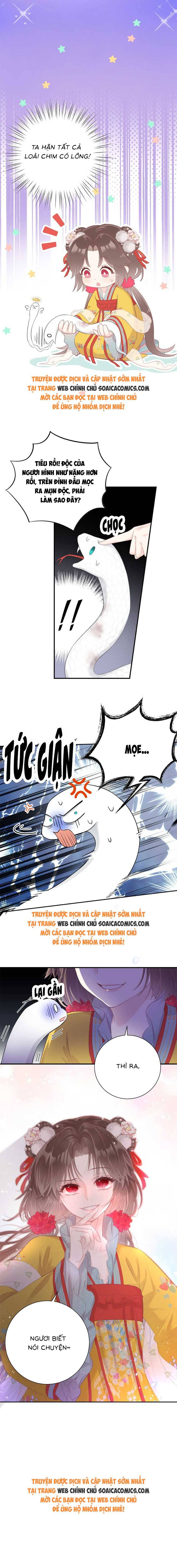 Ninita Yêu Dấu - Phần 2 Chap 1638.5 - Next Chap 1639.5