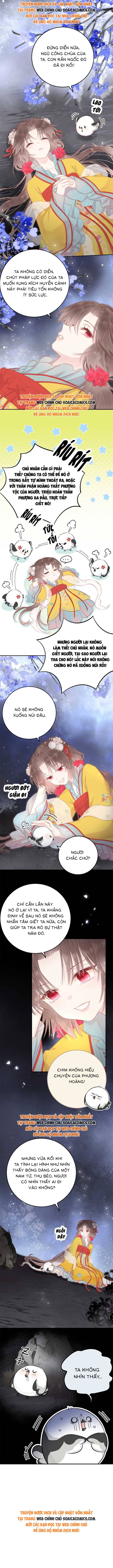 Ninita Yêu Dấu - Phần 2 Chap 1638.7 - Next Chap 1639.7