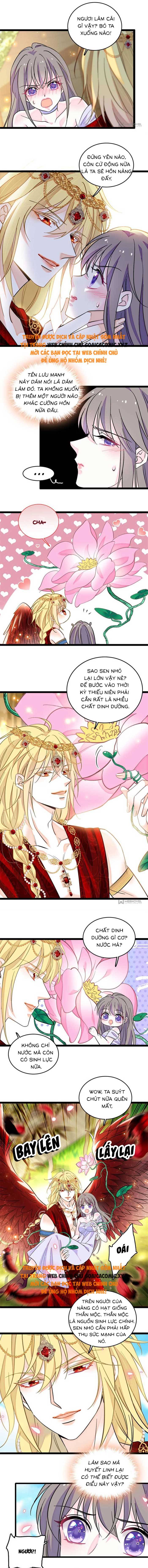 Ninita Yêu Dấu - Phần 2 Chap 1640.4 - Next Chap 1641.4