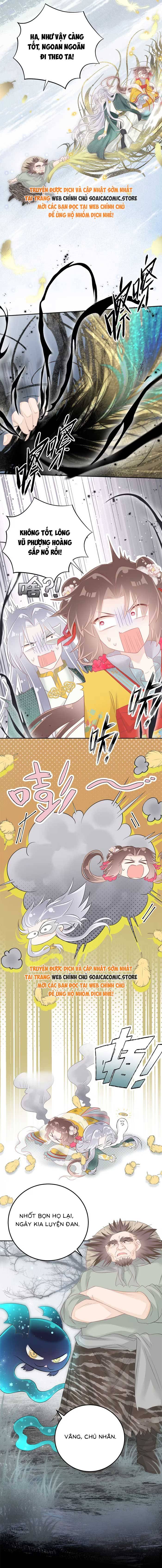 Ninita Yêu Dấu - Phần 2 Chap 1664.9 - Next Chap 1665.9