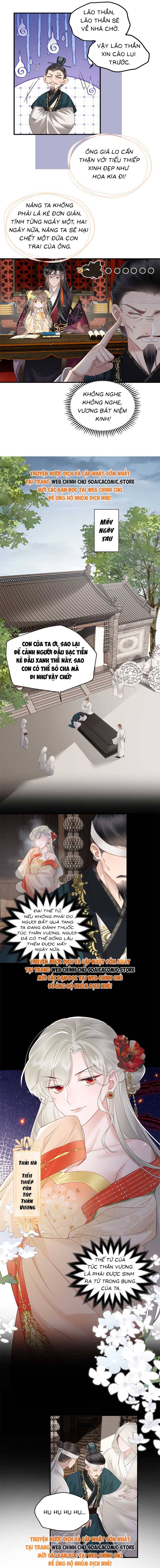 Ninita Yêu Dấu - Phần 2 Chap 1667.3 - Next Chap 1668.3