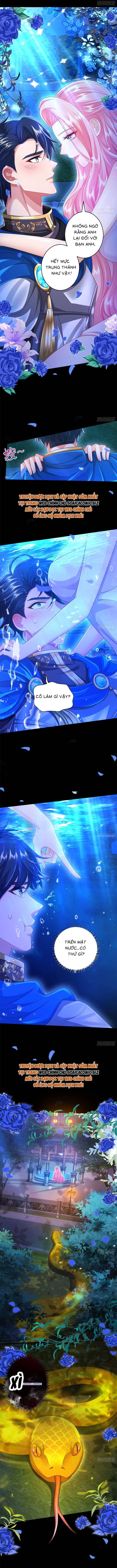 Ninita Yêu Dấu - Phần 2 Chap 1701.8 - Next Chap 1702.8