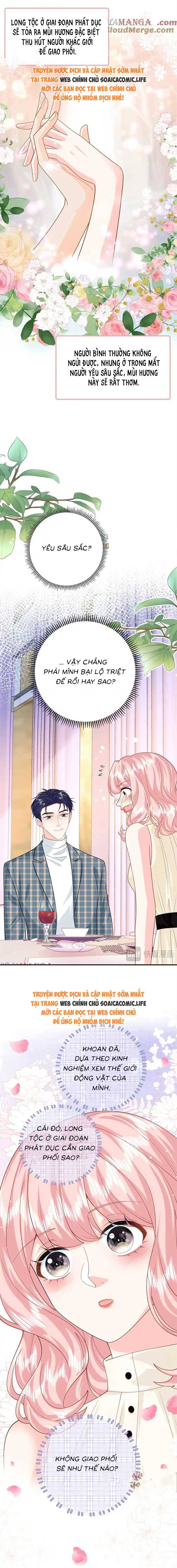 Ninita Yêu Dấu - Phần 2 Chap 1710.6 - Next Chap 1711.6