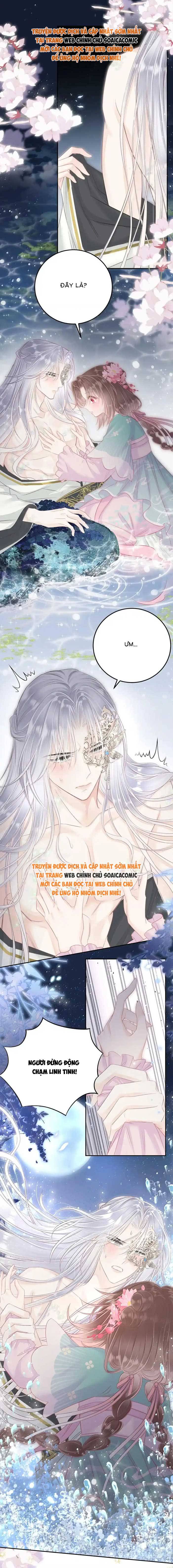 Ninita Yêu Dấu - Phần 2 Chap 1739.5 - Next Chap 1740.5
