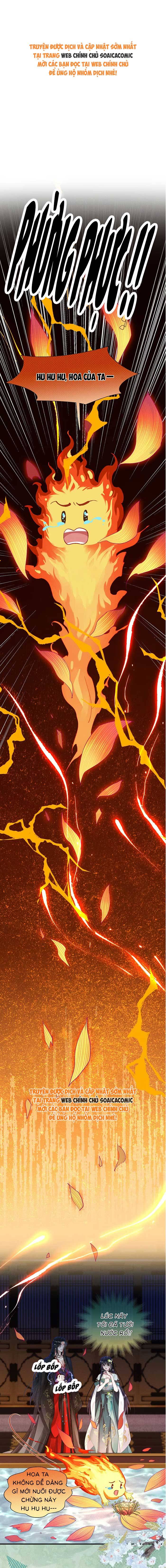 Ninita Yêu Dấu - Phần 2 Chap 1752.7 - Next Chap 1753.7