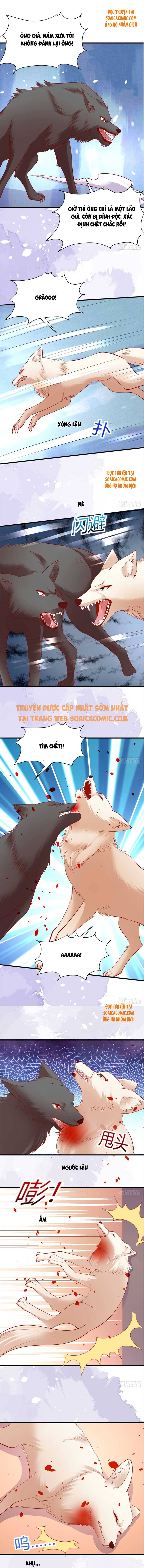 Ninita Yêu Dấu - Phần 2 Chap 278.5 - Next Chap 279.5