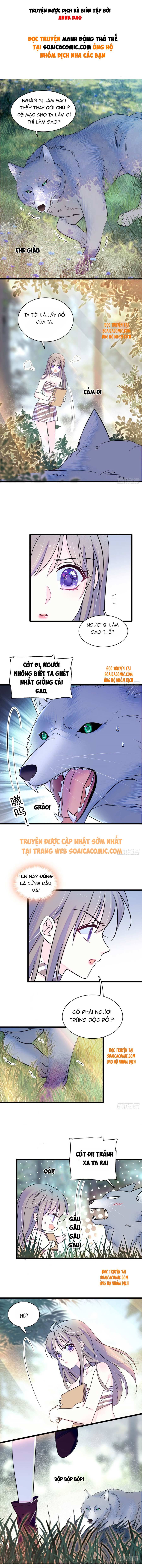 Ninita Yêu Dấu - Phần 2 Chap 312.6 - Next Chap 313.6
