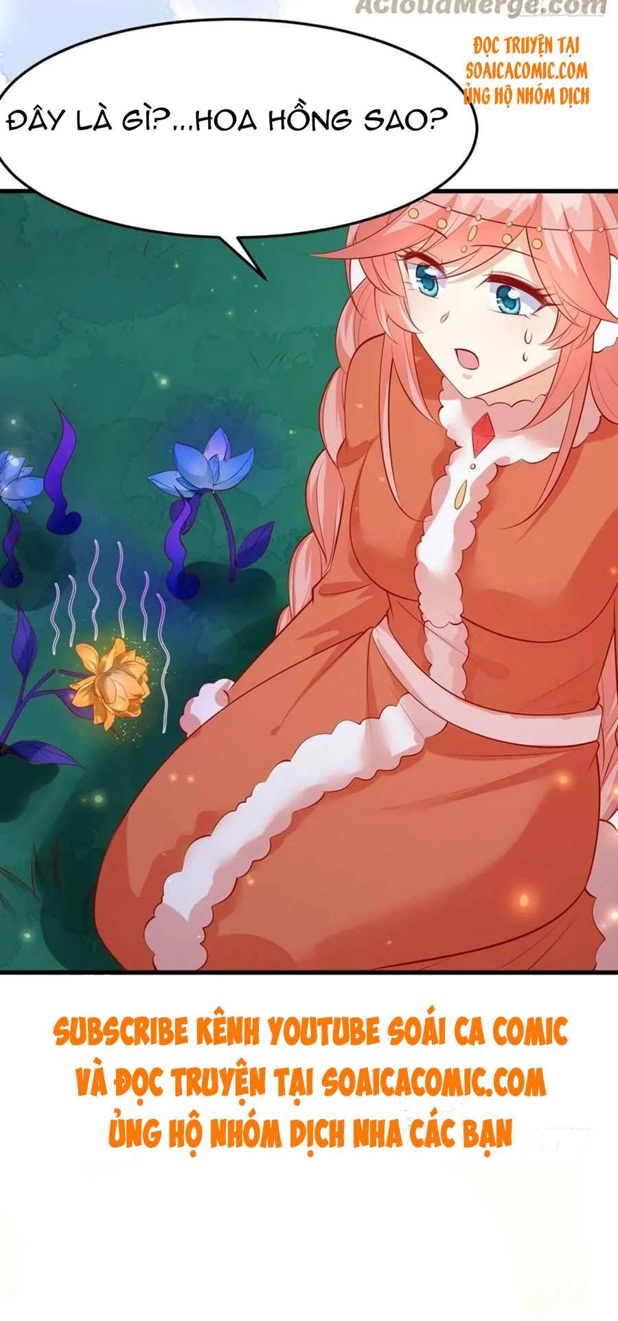 Ninita Yêu Dấu - Phần 2 Chap 347.5 - Next Chap 348.5