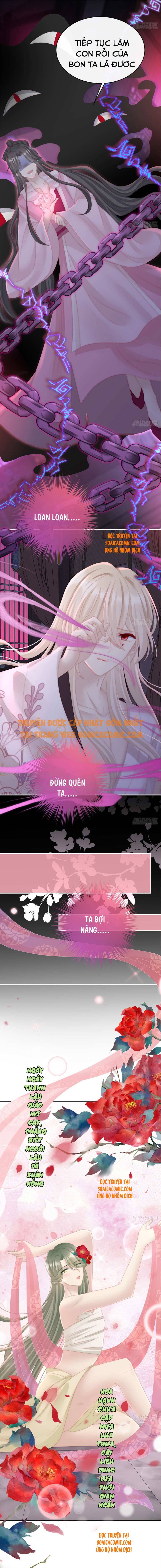 Ninita Yêu Dấu - Phần 2 Chap 348.1 - Next Chap 349.1