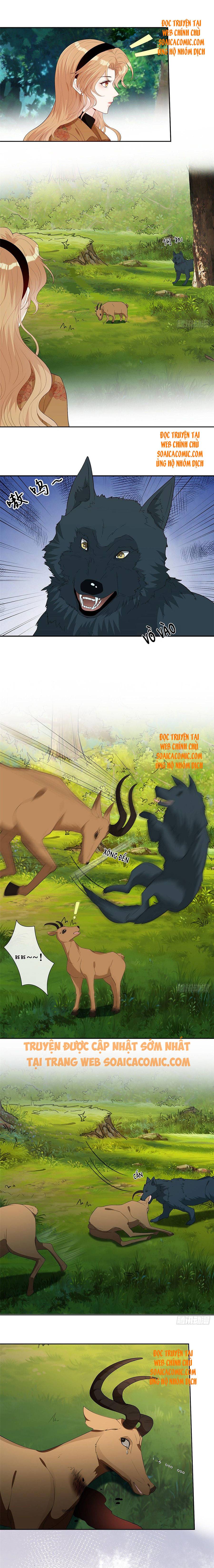 Ninita Yêu Dấu - Phần 2 Chap 388.5 - Next Chap 389.5