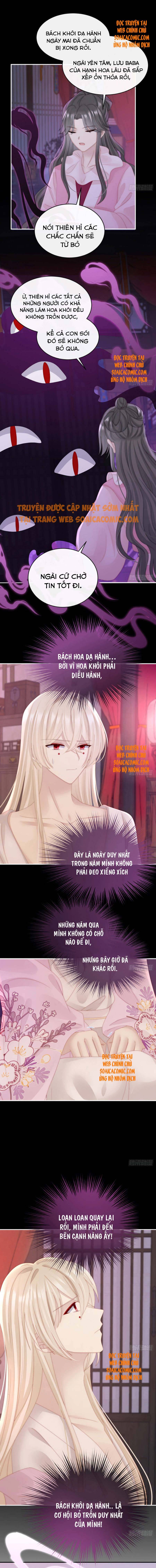 Ninita Yêu Dấu - Phần 2 Chap 414.1 - Next Chap 415.1