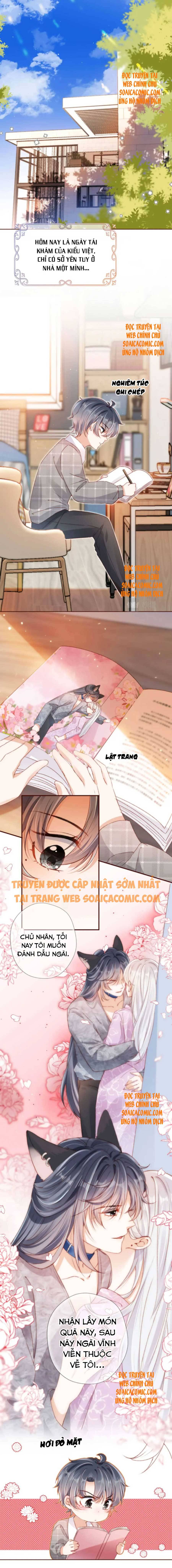 Ninita Yêu Dấu - Phần 2 Chap 451.8 - Next Chap 452.8