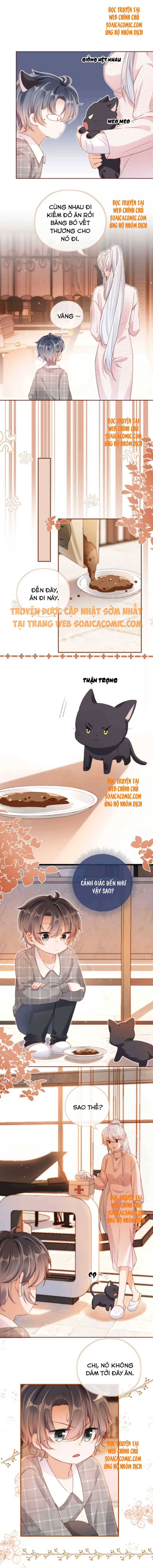 Ninita Yêu Dấu - Phần 2 Chap 451.8 - Next Chap 452.8