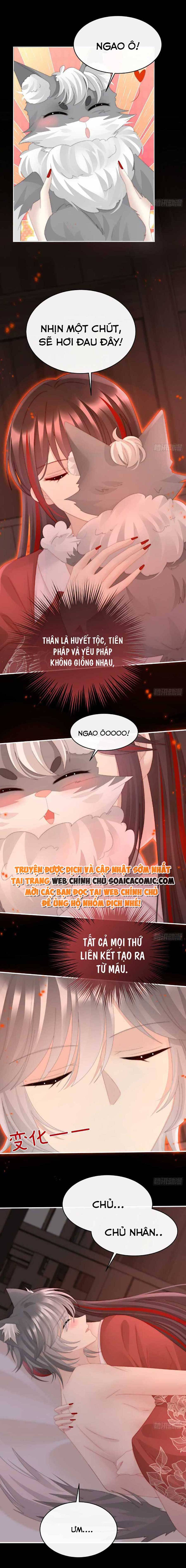 Ninita Yêu Dấu - Phần 2 Chap 473.9 - Next Chap 474.9