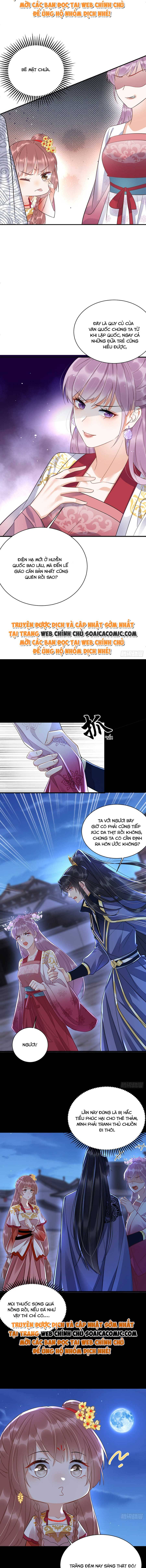 Ninita Yêu Dấu - Phần 2 Chap 482.5 - Next Chap 483.5