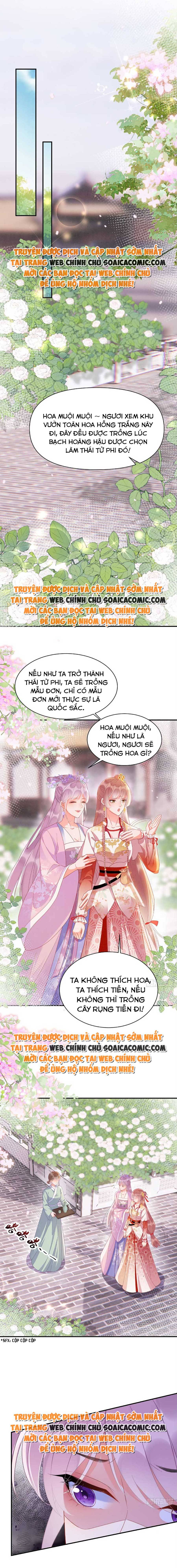 Ninita Yêu Dấu - Phần 2 Chap 503.4 - Next Chap 504.4