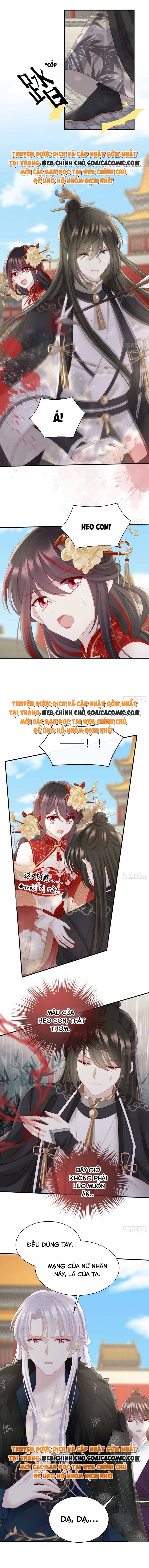 Ninita Yêu Dấu - Phần 2 Chap 504.6 - Next Chap 505.6