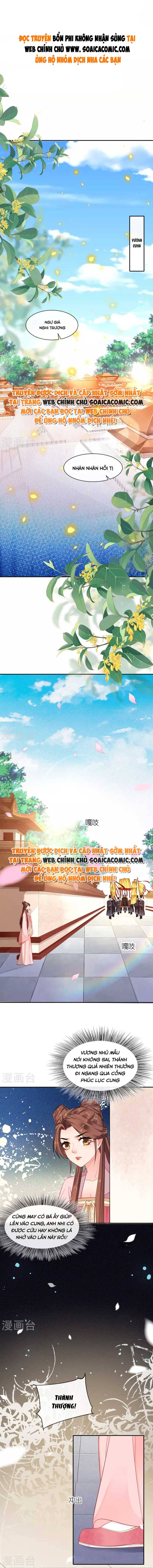 Ninita Yêu Dấu - Phần 2 Chap 514.8 - Next Chap 515.8