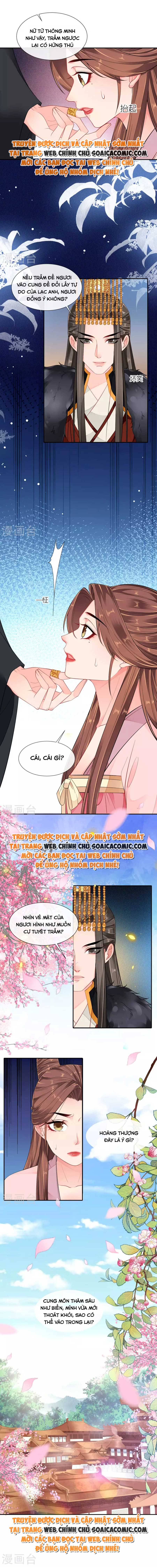 Ninita Yêu Dấu - Phần 2 Chap 514.8 - Next Chap 515.8