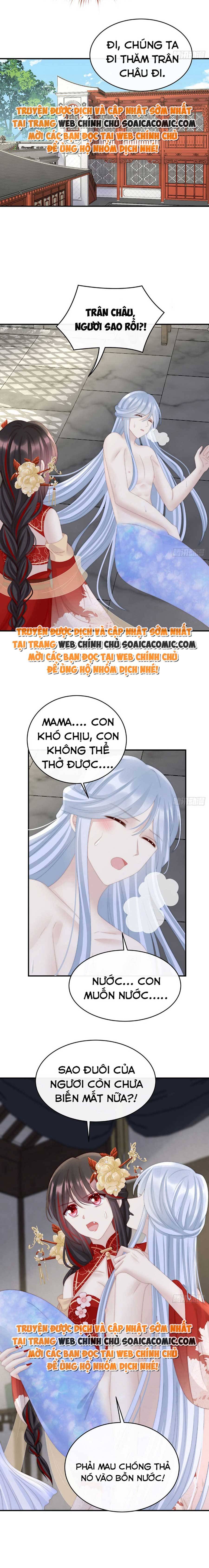 Ninita Yêu Dấu - Phần 2 Chap 517.6 - Next Chap 518.6