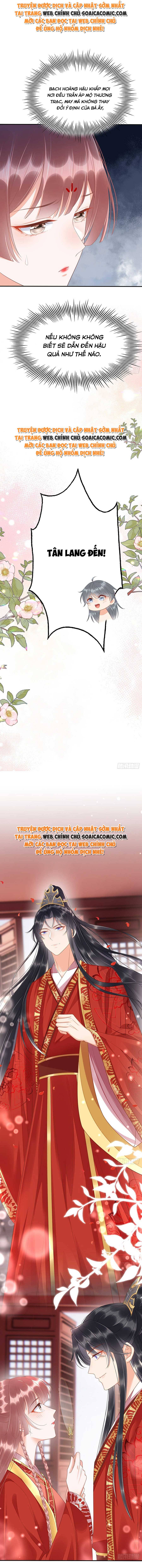 Ninita Yêu Dấu - Phần 2 Chap 518.9 - Next Chap 519.9