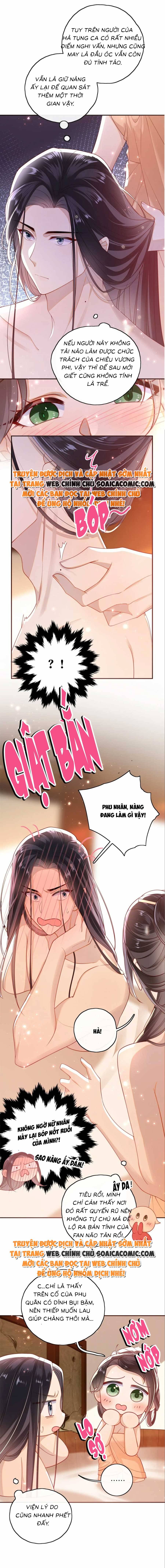 Ninita Yêu Dấu - Phần 2 Chap 528.8 - Next Chap 529.8