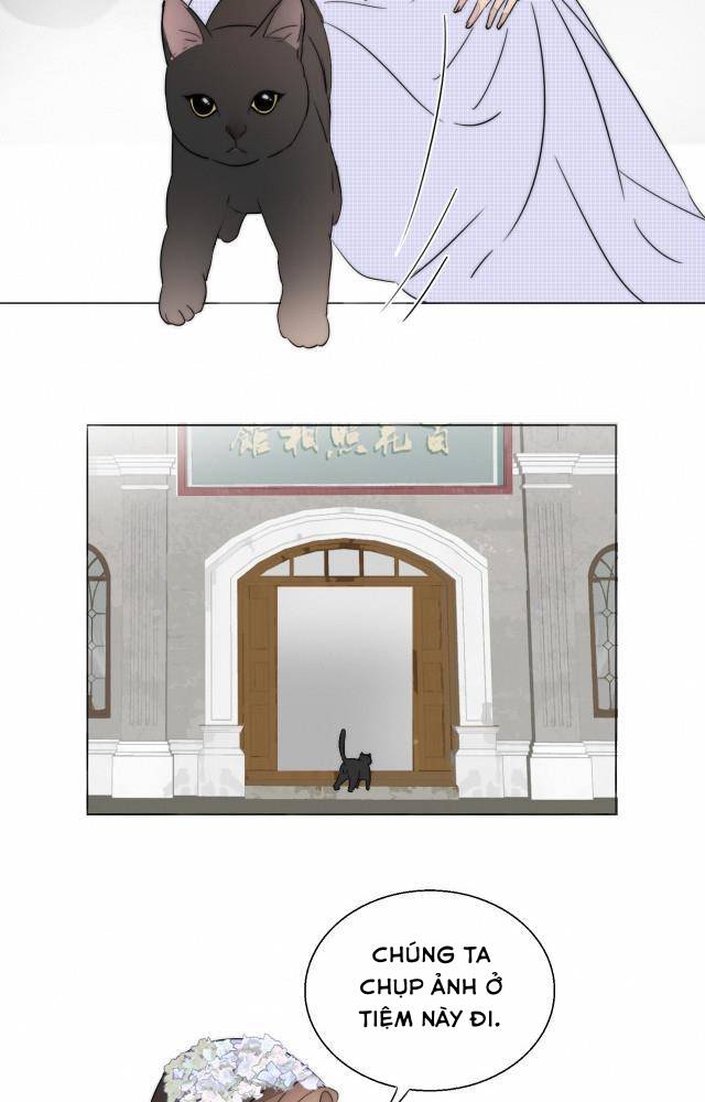 Ninita Yêu Dấu - Phần 2 Chap 529.9 - Next Chap 530.9