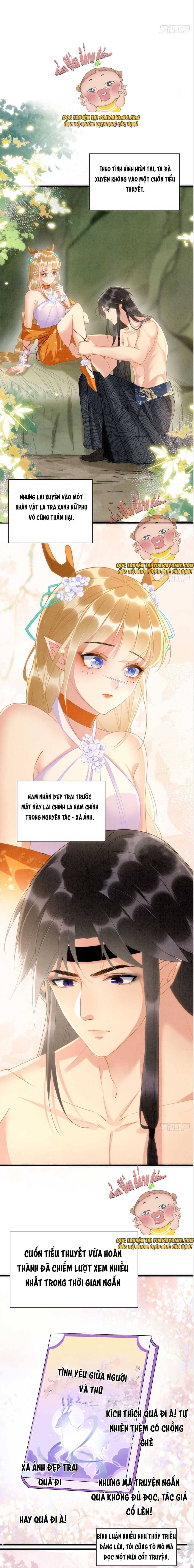 Ninita Yêu Dấu - Phần 2 Chap 545.3 - Next Chap 546.3