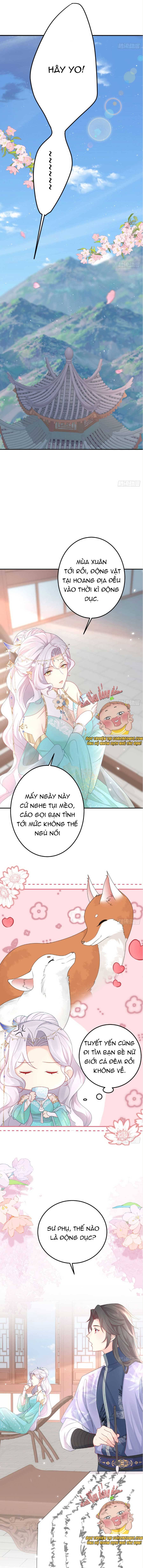 Ninita Yêu Dấu - Phần 2 Chap 546.5 - Next Chap 547.5