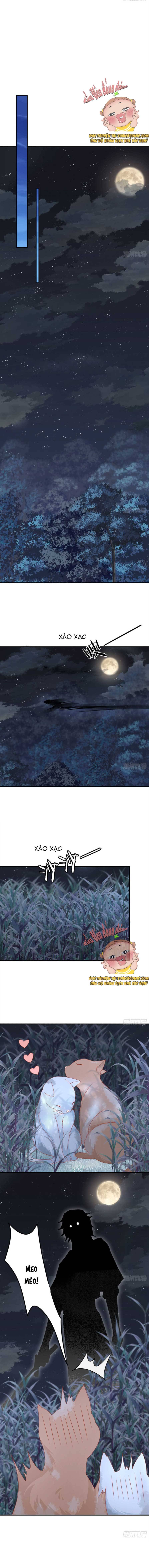 Ninita Yêu Dấu - Phần 2 Chap 546.5 - Next Chap 547.5