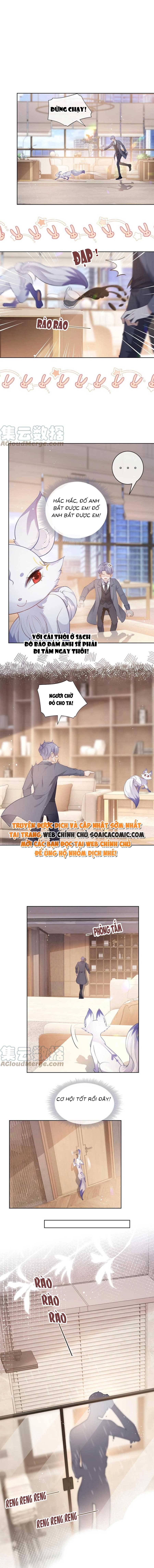 Ninita Yêu Dấu - Phần 2 Chap 562.5 - Next Chap 563.5