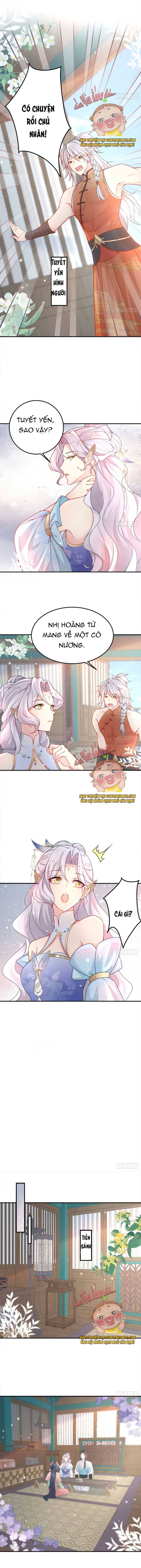 Ninita Yêu Dấu - Phần 2 Chap 564.6 - Next Chap 565.6